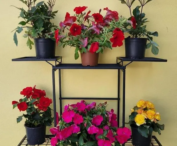 Elysium Casa de hóspedes Ginetes